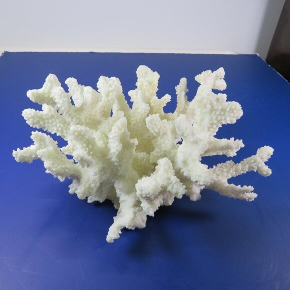 Faux Coral (very realistic) White 5" tall 9x7" wide over 1lb has a repaired arm - Picture 4 of 12